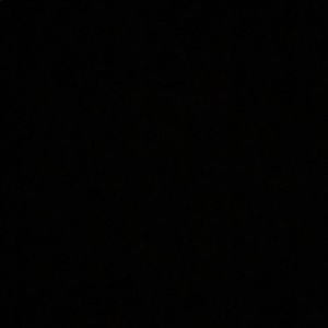 Meet your Posher, Ricardo